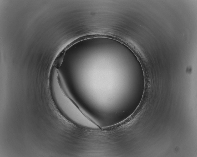 X0000090930884200708201825