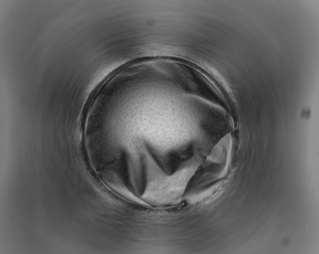 X0000090930885200708201825