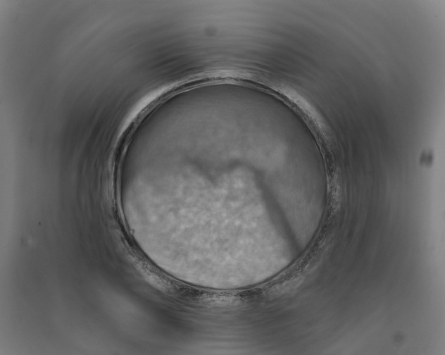 X0000090930886200708201825