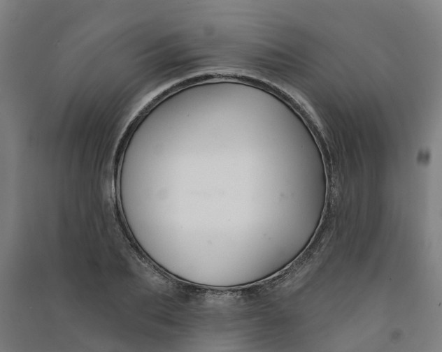 X0000090930887200708201825