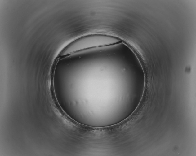 X0000090930888200708201825