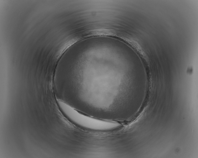 X0000090930889200708201825