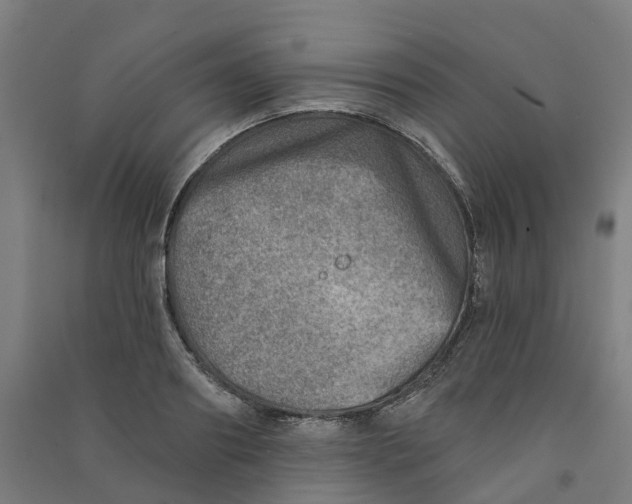 X0000090930890200708201825