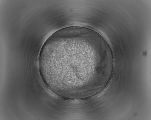 X0000090930891200708201825