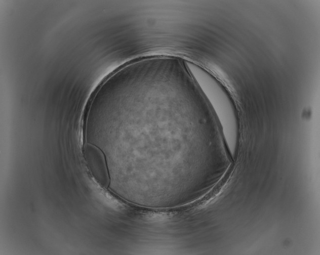 X0000090930892200708201825