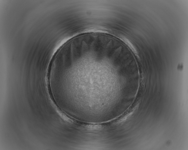 X0000090930893200708201825