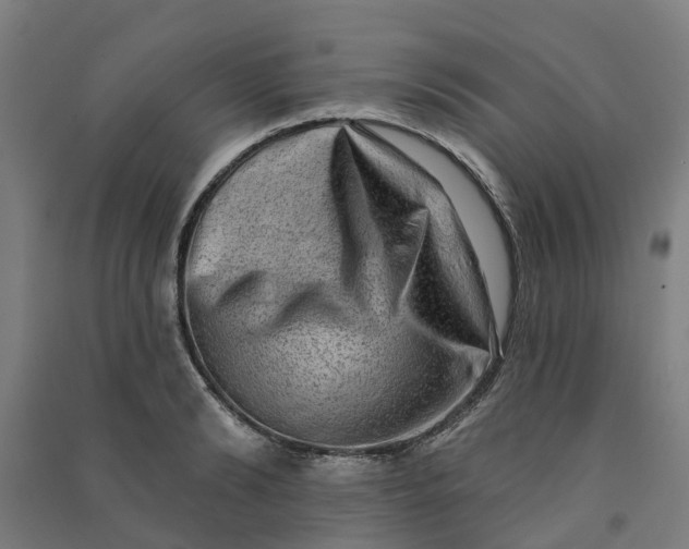 X0000090930894200708201825