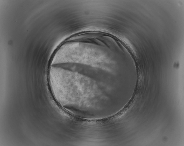 X0000090930896200708201825