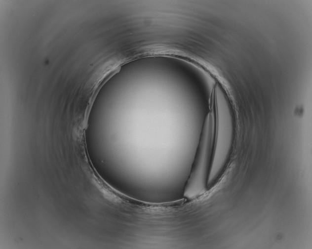 X0000090930897200708201825