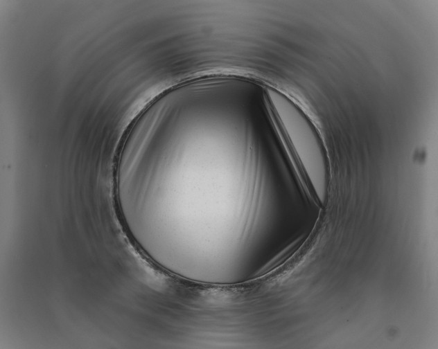 X0000090930898200708201825