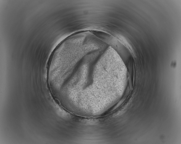 X0000090930900200708201825