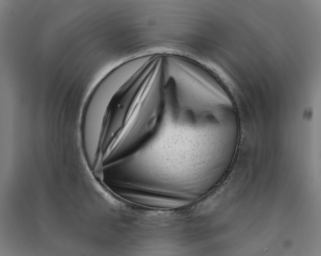 X0000090930902200708201825