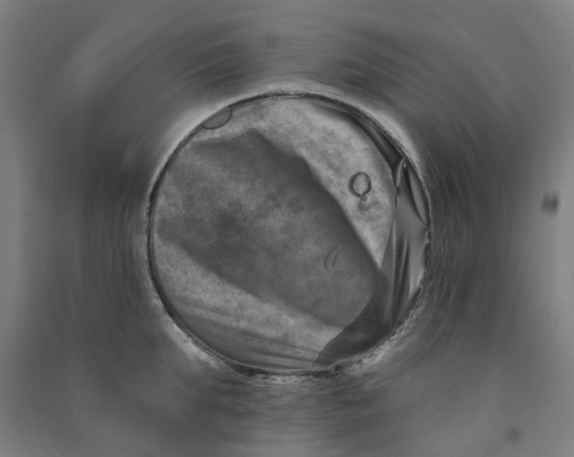 X0000090930903200708201825