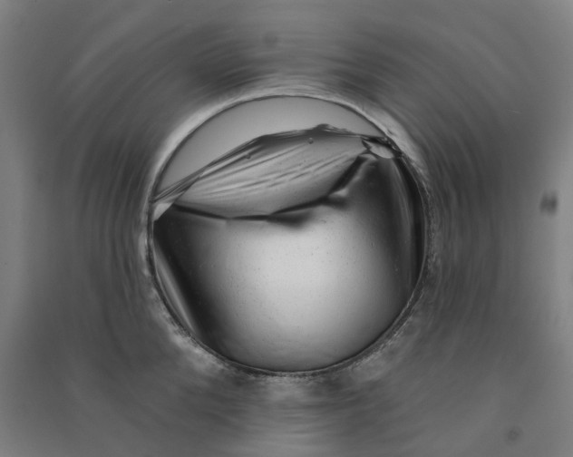 X0000090930904200708201825