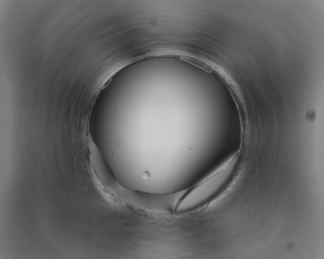 X0000090930905200708201825