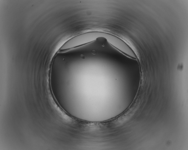 X0000090930906200708201825