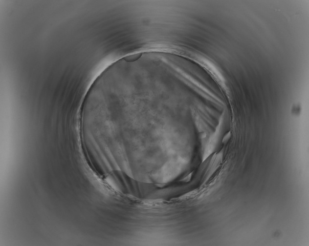 X0000090930907200708201825