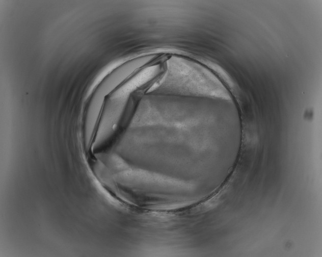 X0000090930910200708201825