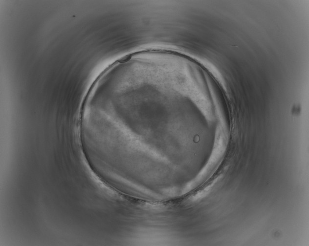 X0000090930911200708201825