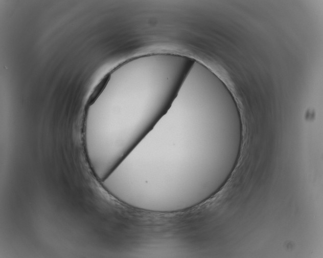 X0000090930912200708201825