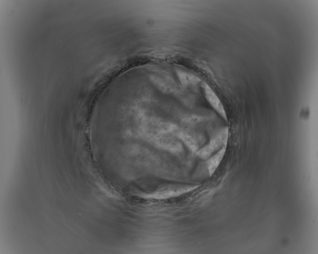 X0000090930913200708201824