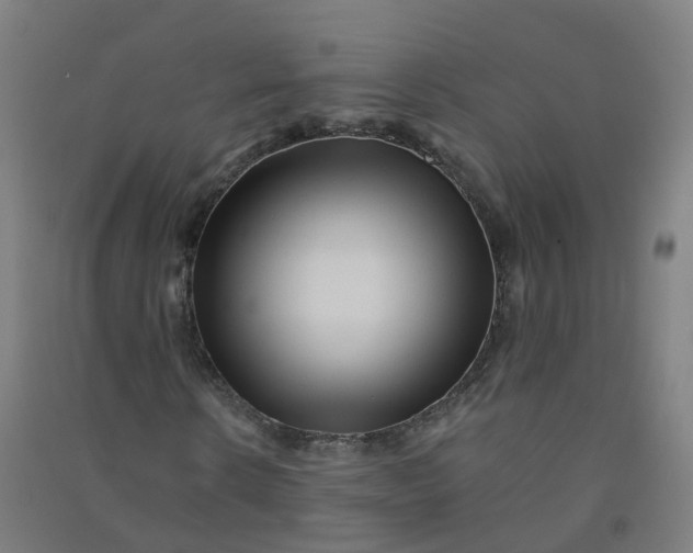 X0000090930914200708201824