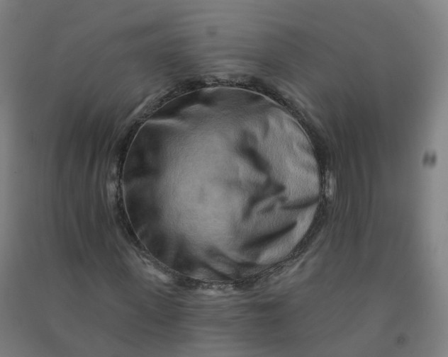 X0000090930915200708201824