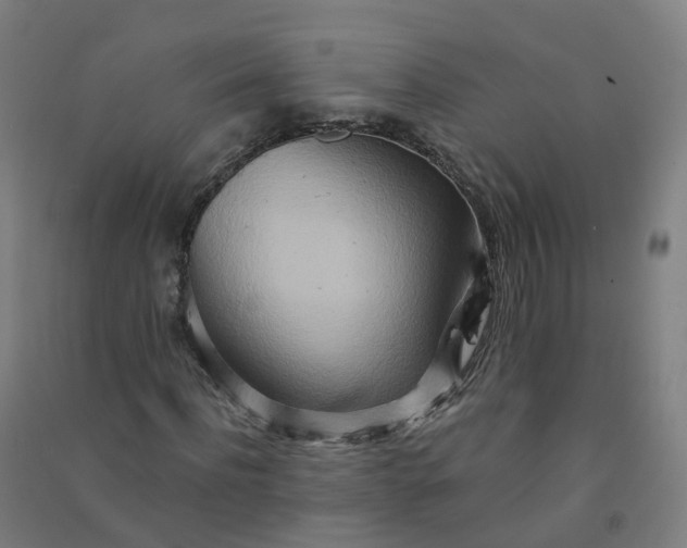 X0000090930916200708201824