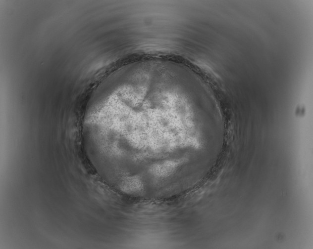 X0000090930917200708201824