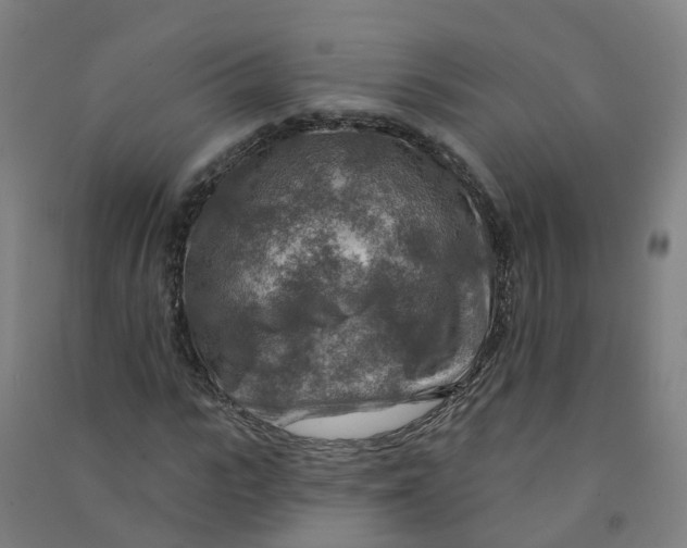 X0000090930919200708201824