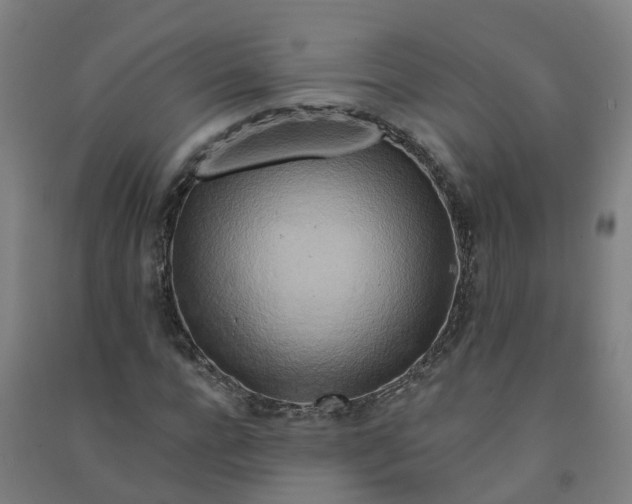 X0000090930920200708201824