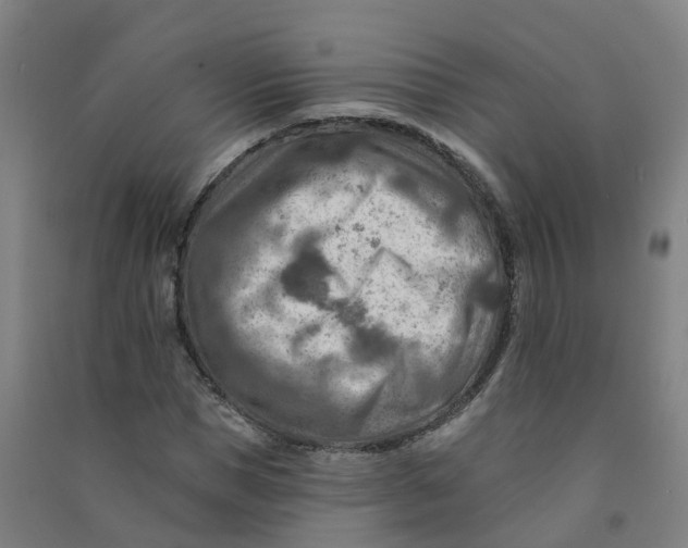 X0000090930921200708201825