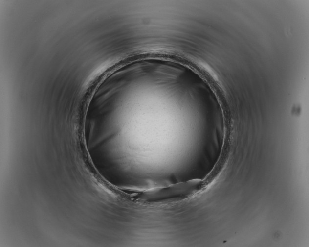 X0000090930922200708201825