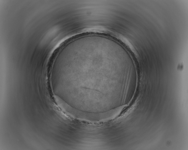 X0000090930923200708201825