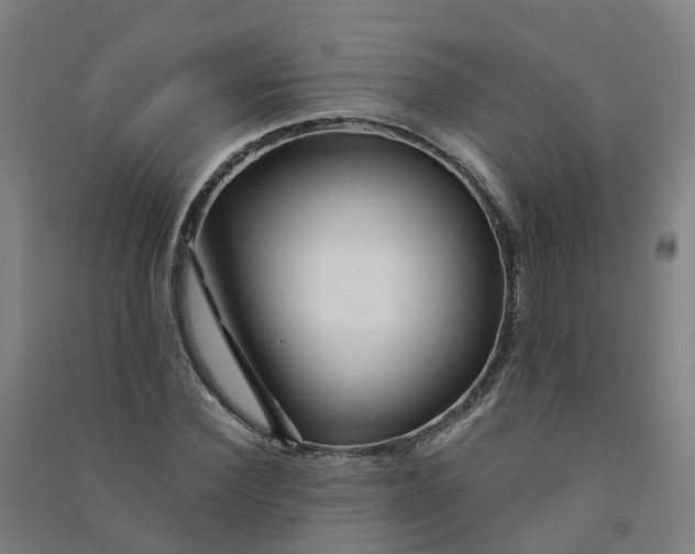 X0000090930924200708201825