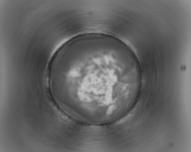 X0000090930925200708201825