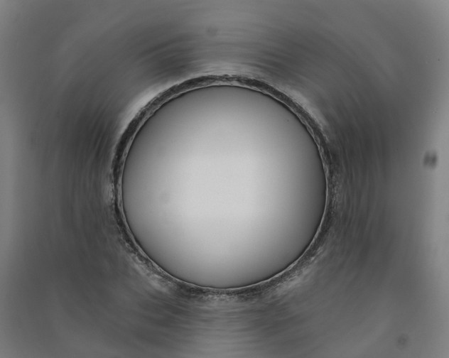 X0000090930927200708201825