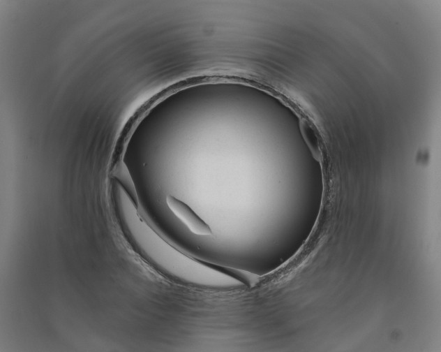 X0000090930928200708201825