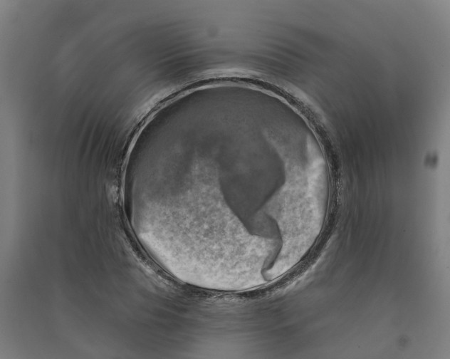 X0000090930929200708201825