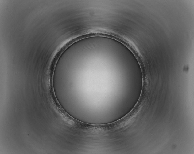 X0000090930931200708201825