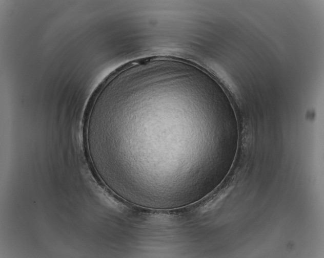 X0000090930932200708201825