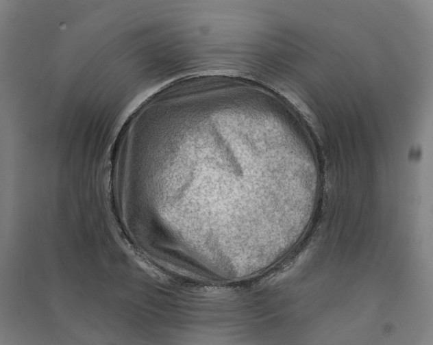 X0000090930933200708201825