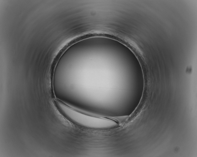 X0000090930934200708201825