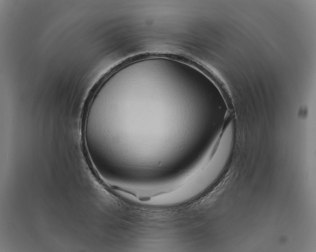 X0000090930935200708201825