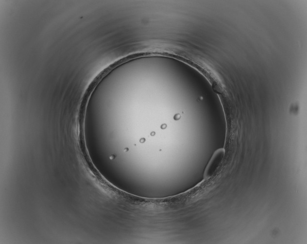 X0000090930936200708201825