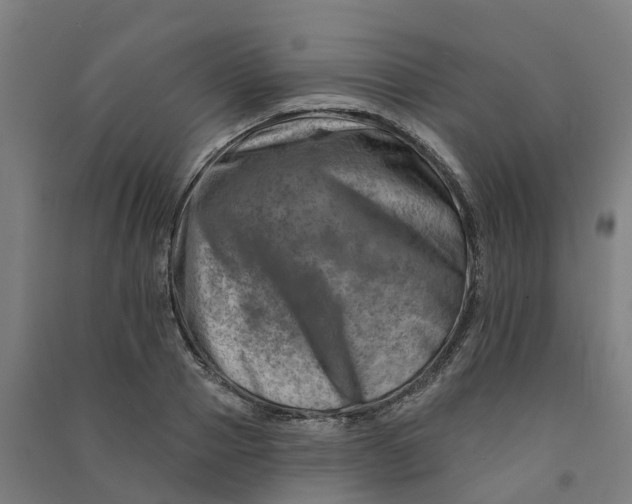 X0000090930937200708201825