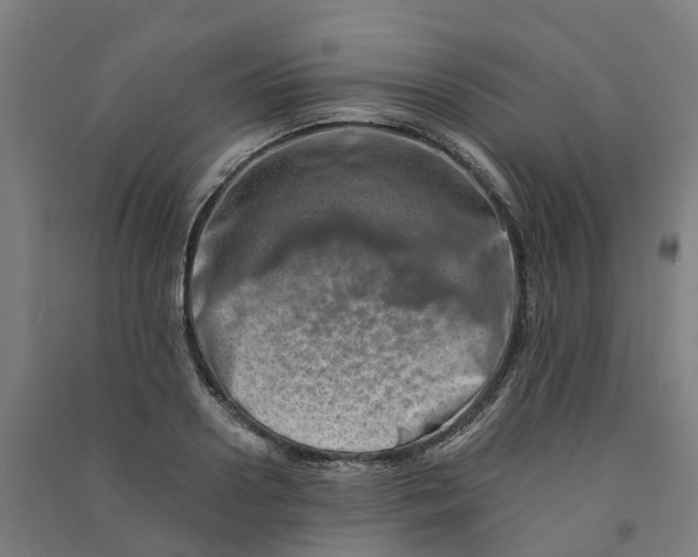 X0000090930938200708201825