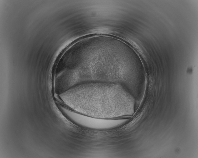 X0000090930939200708201825