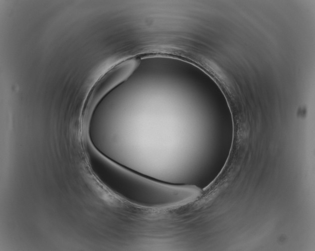 X0000090930940200708201825