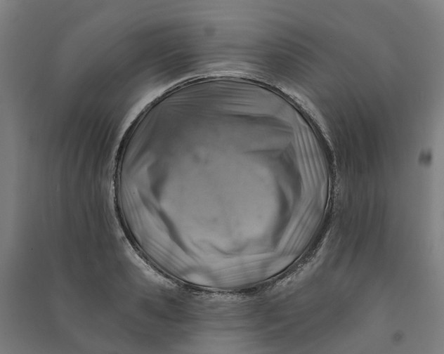 X0000090930941200708201825